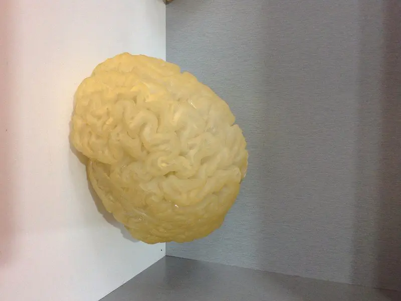 3D打印医学人体大脑组织模型